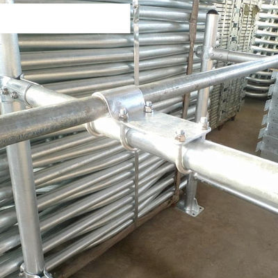 Floating Neck Rail en Flexing Loops Melkvee Vrijstaand systeem voor duurzame landbouwbedrijven