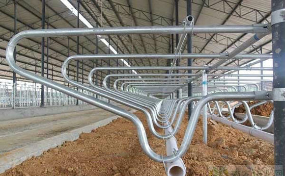 Floating Neck Rail en Flexing Loops Melkvee Vrijstaand systeem voor duurzame landbouwbedrijven