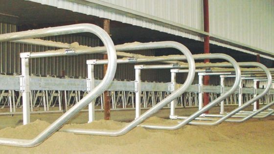 Floating Neck Rail en Flexing Loops Melkvee Vrijstaand systeem voor duurzame landbouwbedrijven