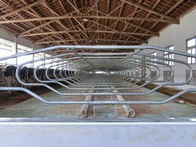 Floating Neck Rail en Flexing Loops Melkvee Vrijstaand systeem voor duurzame landbouwbedrijven