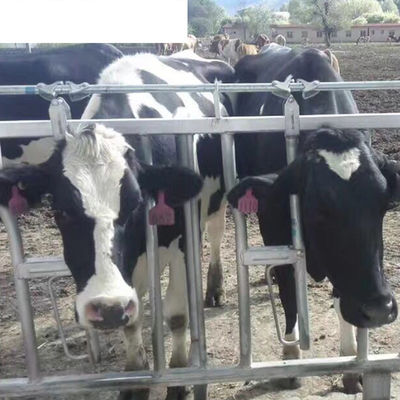 Gepersonaliseerde veehouderijapparatuur voor melkkoeien schapen paarden pluimvee en pluimveehouderij