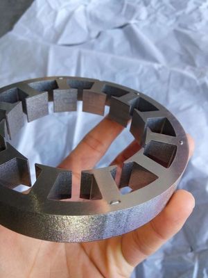 Gepersonaliseerde 12 gleuf borstelloze stator en magnetische gleuf rotor met materiaal keuze