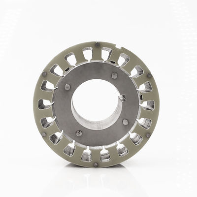 Bulk Production Stamping Part Loose Layer Pin Rator Stator met Silicon Steel Sheet