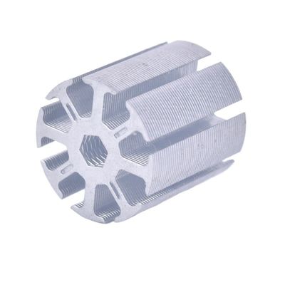 Op maat gemaakte elektrische motorstator/rotor voor motorfietsmodel met oppervlaktebehandeling
