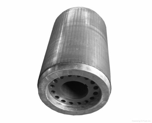 Siliciumstaal gelamineerde platen rotor en stator in voor motor generator industrieën