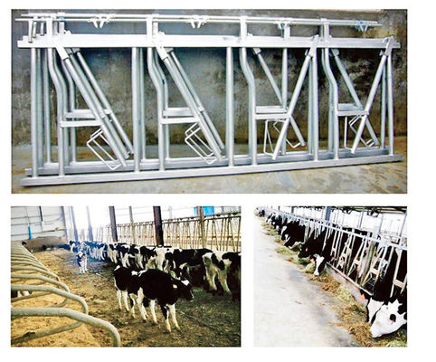 Veelgebruikt gegalvaniseerd stalen vee hek met kleurverf afwerking in Hebei Nanfeng
